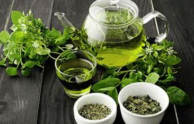نوشیدنی سبز محبوب که التهاب بدن را کاهش می‌دهد