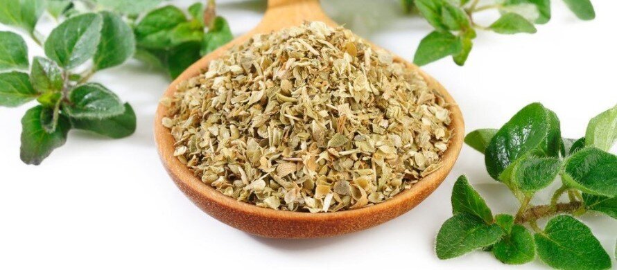 معرفی ادویه اورگانو و خواص آن