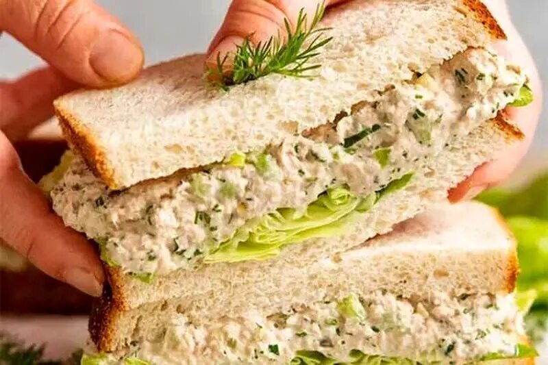 طرز تهیه ساندویچ سالاد تن ماهی؛ غذای خنک و فوری برای روزهای داغ تابستان