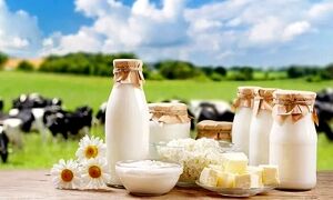 فرق شیر تازه و شیر مدت‌دار چیست؟ + راهنمای کامل خرید