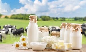 فرق شیر تازه و شیر مدت‌دار چیست؟ + راهنمای کامل خرید