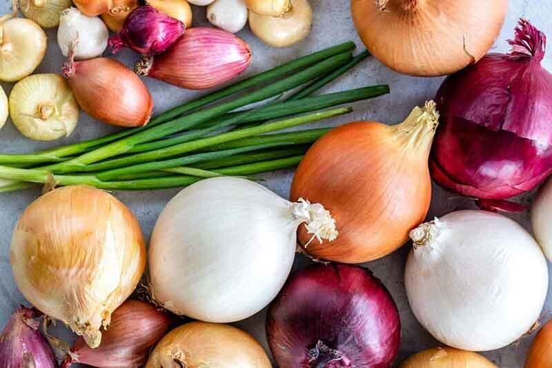 کاربرد انواع پیاز در آشپزی ؛ کدام رنگ پیاز برای چه غذایی مناسب‌تر است؟