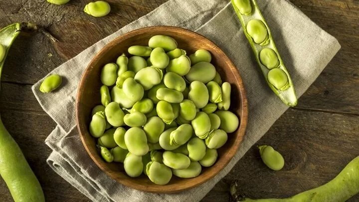 راه و روش‌های خشک کردن باقالی سبز