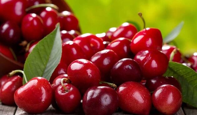 میان‌وعده های ساده با آلبالو ، یاقوت‌ سرخ تابستان