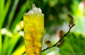 شربت بیدمشک و گلاب؛ نوشیدنی مناسب افطار