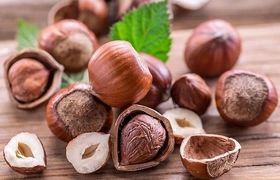 دستور تهیه مربای فندق؛ مربای آجیلی مقوی