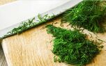 روش خشک کردن شوید بدون تلخی و سیاهی