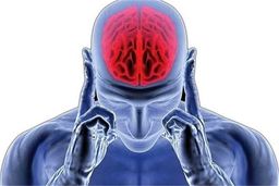 یک رژیم غذایی خاص؛ کلید داشتن مغزی سالم و فعال