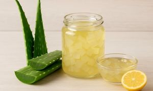 طرز تهیه کمپوت آلوورا و خواص آن