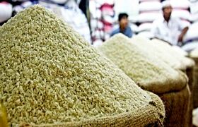 اگر در خرید انواع برنج ایرانی سررشته ندارید حتما این مطلب را بخوانید