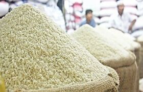 اگر در خرید انواع برنج ایرانی سررشته ندارید حتما این مطلب را بخوانید