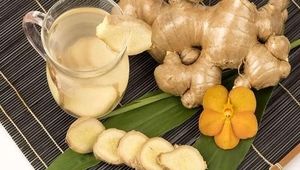 «جینجر باگ»؛ باگ زنجبیل، نوشیدنی تازه‌نفس برای سلامت روده