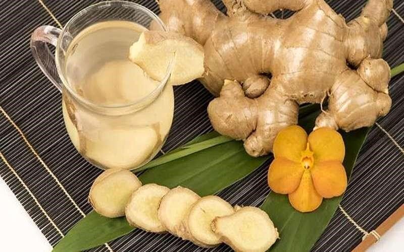 «جینجر باگ»؛ باگ زنجبیل، نوشیدنی تازهنفس برای سلامت روده