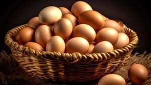 ۴ مدل غذای ساده، سریع و اقتصادی با تخم مرغ