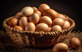 ۴ مدل غذای ساده، سریع و اقتصادی با تخم مرغ