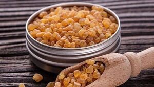 کندر بخوریم باهوش می‌شویم؟؛ واقعیت علمی این ادعا