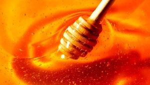یک قاشق عسل قبل از ورزش چه تأثیری بر بدن دارد؟