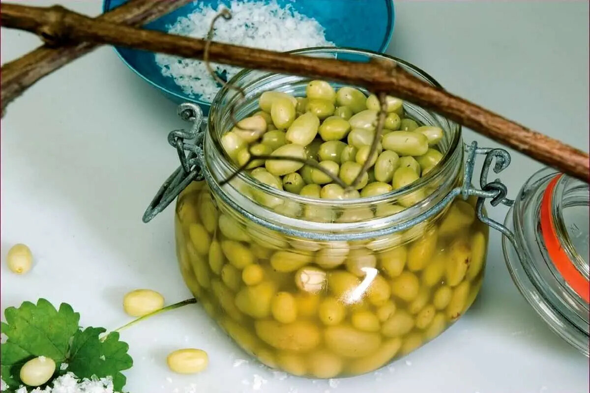 طرز تهیه ترشی غوره؛ ترشی خوشمزه فصل تابستان