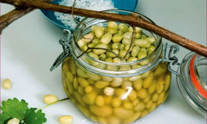 طرز تهیه ترشی غوره؛ ترشی خوشمزه فصل تابستان