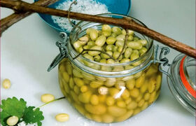 طرز تهیه ترشی غوره؛ ترشی خوشمزه فصل تابستان
