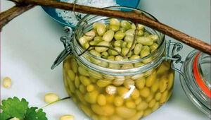 طرز تهیه ترشی غوره؛ ترشی خوشمزه فصل تابستان