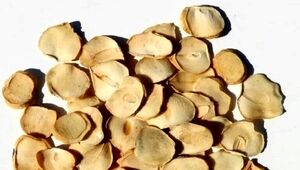 فوت‌وفن خشک کردن پرک موسیر