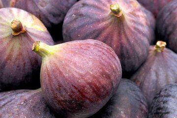 خواص این میوه؛ از کاهش وزن تا جوانسازی پوست